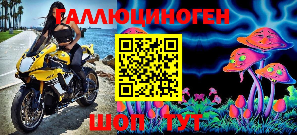 Моздок  Псилоцибиновые грибы GOLDEN TEACHER  Вход с VPN 